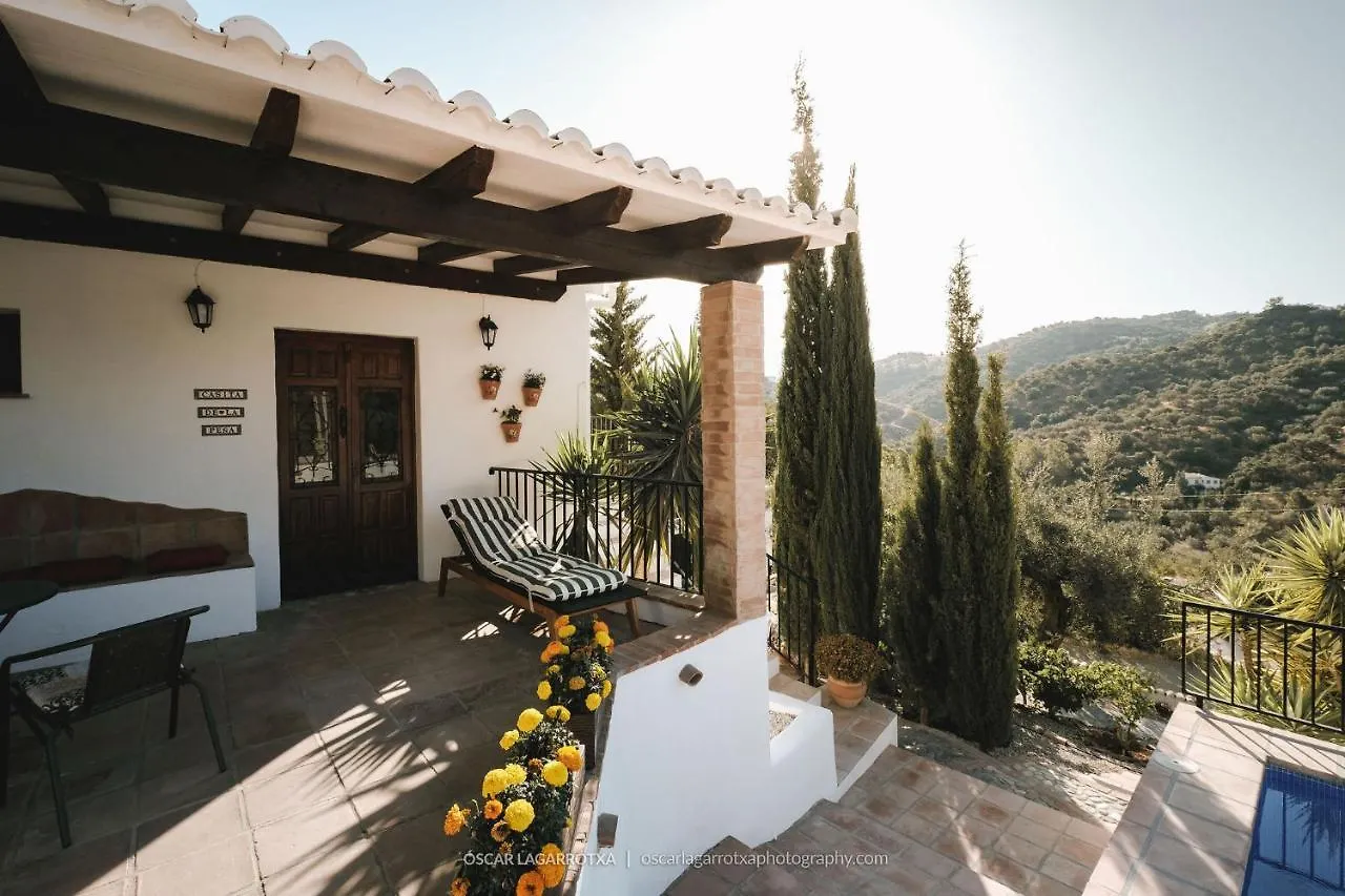 Bed & Breakfast B&B Cortijo Loma Leon Cutar